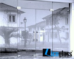 The Establishment of company